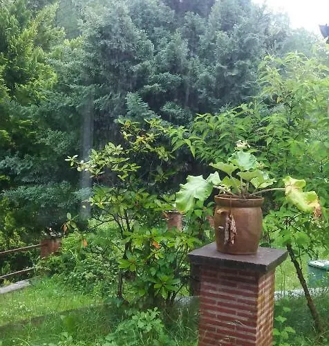 Elbenland & Holiday home